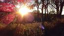 %2FUserFiles%2FImage%2FRundgang%2F20190912 190148