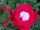 %2FUserFiles%2FImage%2FRundgang%2FIMG 20190901 WA0009